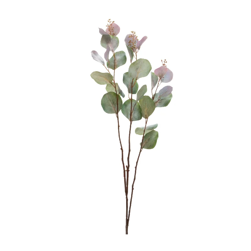 Eucalyptus Stem (Set of 6)