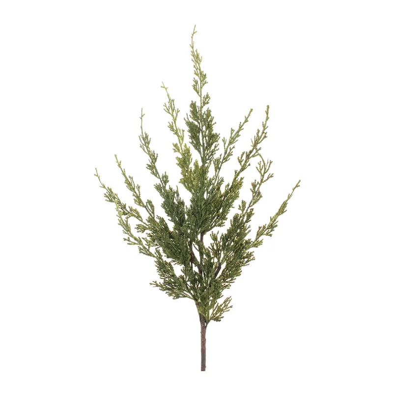 Variegated Pine Spray, Set of 6