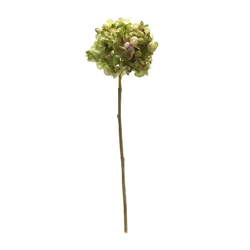 Green Hydrangea Flower Stems, Set of 6