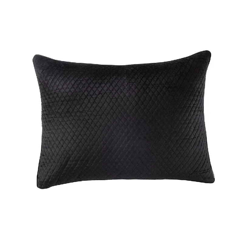 Valentina Black Luxe Euro Pillow by Lili Alessandra