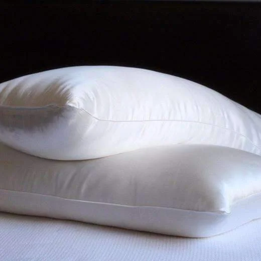 Silk Filled Pillow with Silk Shell by Mari Ann